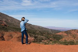 UNDERSTANDING ARIZONA