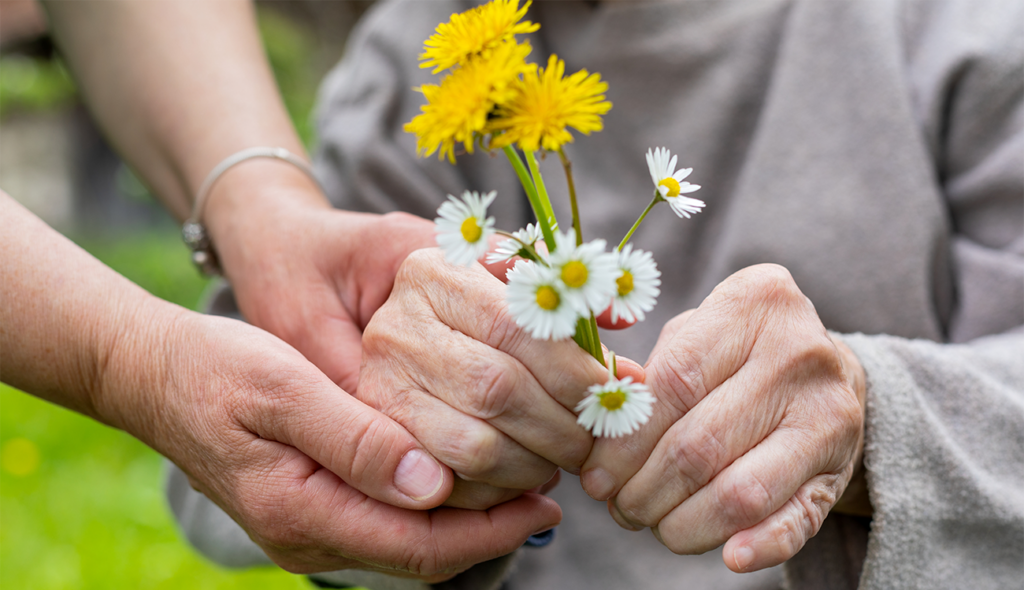 Nursing Home Residents Rights arizona