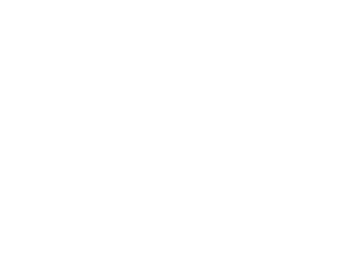 Elevated Legal - Law Firm SEO